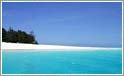 Snorkling tur til Mnemba atollen