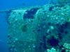 Sugar Ship Wreck på Perhentian Islands
