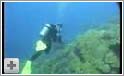 Flot video fra Great Barrier Reef
